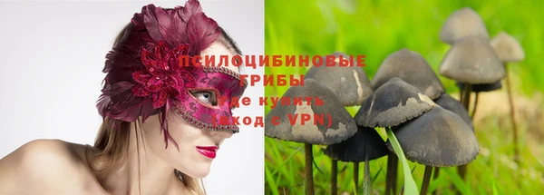 мет Абаза