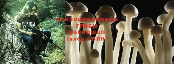 мет Абаза