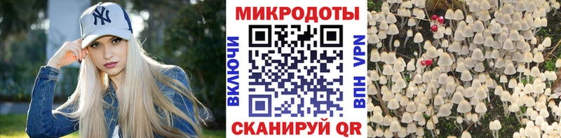 закладка  маркетплейс какой сайт  Псилоцибиновые грибы Psilocybine cubensis  Серпухов 